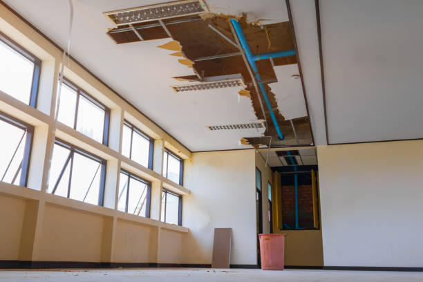Best Water damage cleanup near me  in Tilden, NE