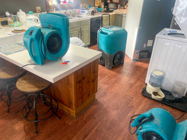 Best Emergency water damage restoration  in Tilden, NE