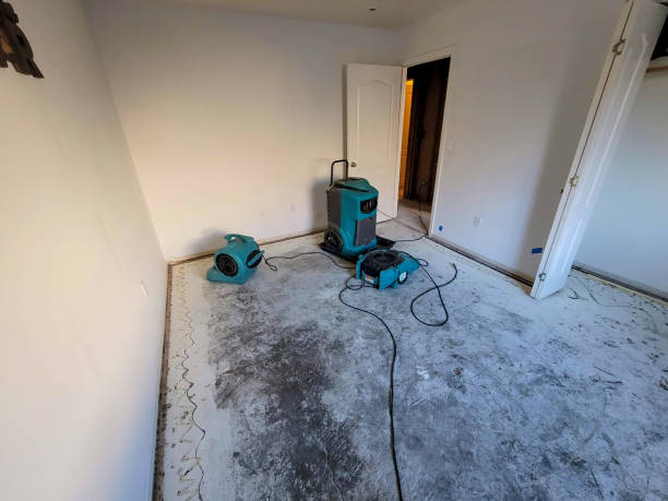Best Flood restoration services  in Tilden, NE