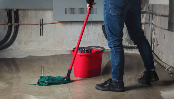 Best Professional water damage repair  in Tilden, NE