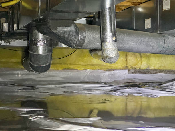 Best Water damage restoration near me  in Tilden, NE