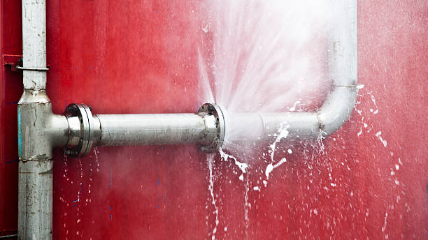 Best Water damage restoration near me  in Tilden, NE